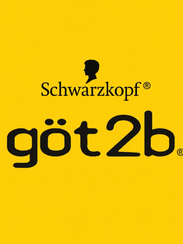 Got2b